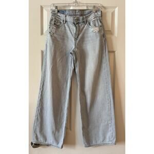 American Eagle Outfitters Light Blue Flare Jeans